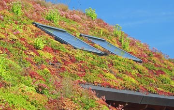 Ash Magna living roof systems