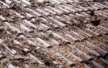 Ash Magna roof cleaning companies